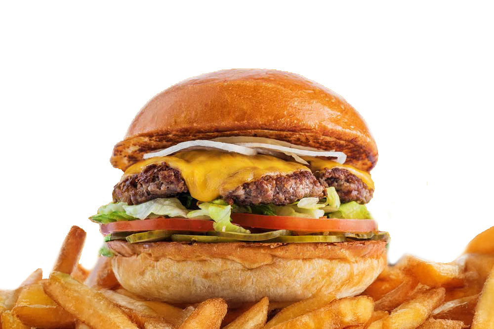 Classic Cheese burger with Fries