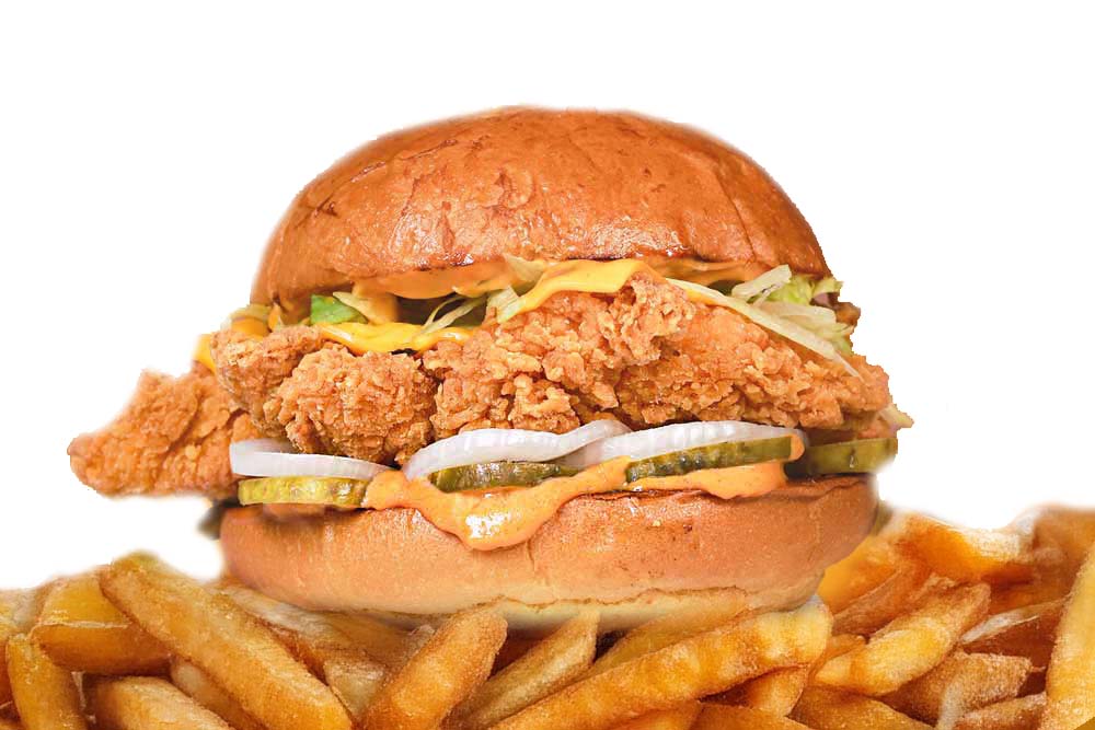 Chicken Burger with Fries